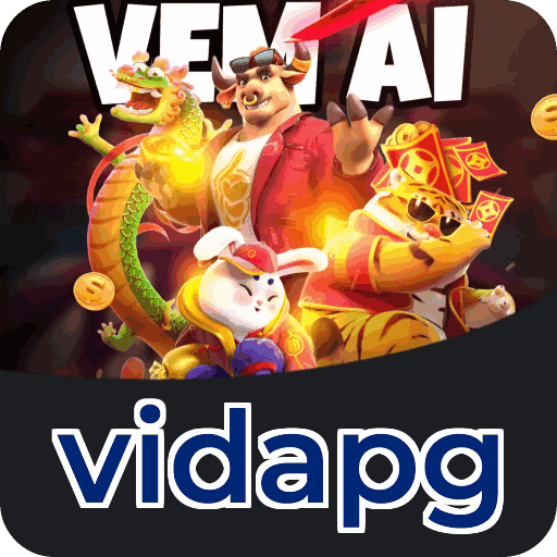 Métodos de pagamento aceitos na vidapg